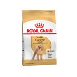 ROYAL-CANIN-POODLE-ADULTO-X-3-KG