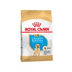 ROYAL-CANIN-LABRADOR-33-JUNIOR-X-12-KG