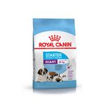 ROYAL-CANIN-PERRO-STARTER-GIANT-X-10-KG