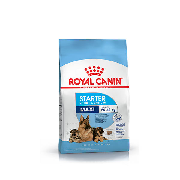 ROYAL-CANIN-PERRO-STARTER-MAXI-X-10-KG