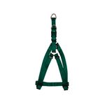 ARNES-PARA-PERRO-CHICO-VERDE-1CM-X-33-45CM