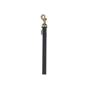 Correa De Entrenamiento Perro Nylon 1.8Mx15Mm
