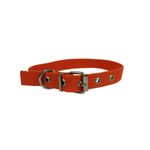 COLLAR-DE-POLIPROPILENO-ECONOMICA-20X35-CM