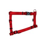 ARNES-ZEUS-X-GRANDE-ROJO