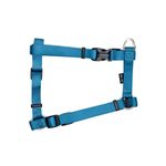 ARNES-ZEUS-X-GRANDE-AZUL