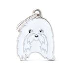 CHAPITA-IDENTIIFICATORIA-FRIEND-MALTESE