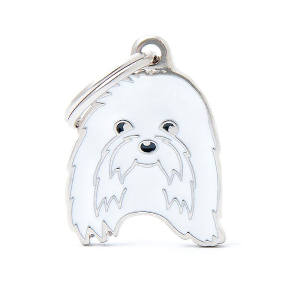 CHAPITA-IDENTIIFICATORIA-FRIEND-MALTESE