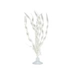 MARINA-BETTA-PLANTA-BLANCO