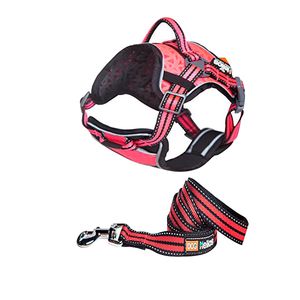 Pretal Para Perros Helios Mochila De Pecho L