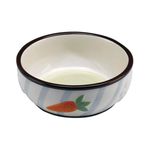 COMEDERO-CERAMICA-PARA-CONEJO-BOWL