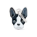 CHAPITA-BASIC-BOSTON-TERRIER