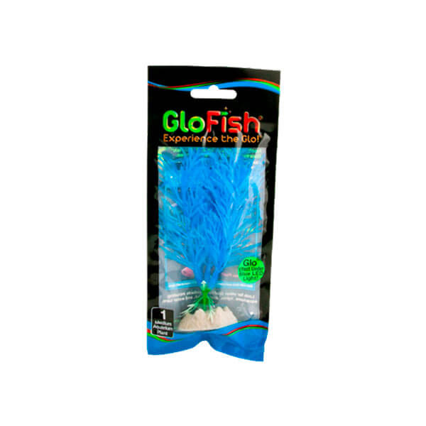 PLANTA-P.GLO-TETRA-MEDIUM-AZUL