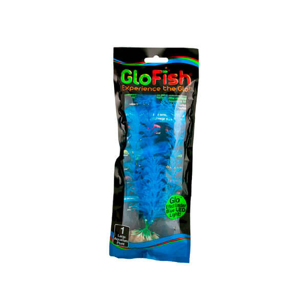 PLANTA-P.GLO-TETRA-LARGE-VERDE