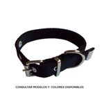 COLLAR-CLASICO-PP-LISO-L-2-CM