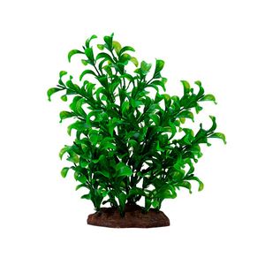 Fluval Aqua Plants Scap Large Bacopa Plant 20 Cm