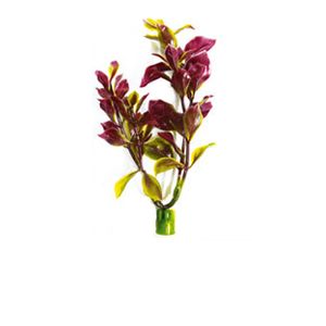 Planta Tetra Waterwonders Red Ludwigia (45Cm)