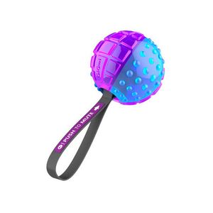 Juguete Para Perro Gigwi Regular Ball Push To Mute Purple/Bl