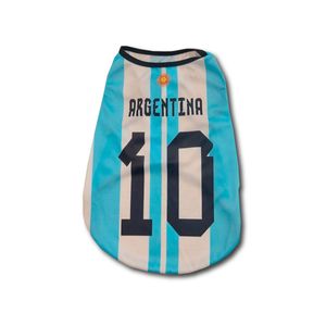 Camiseta De Argentina T1 25 Cm