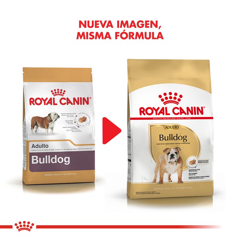 Royal Canin English Bulldog Adult X 12 Kg