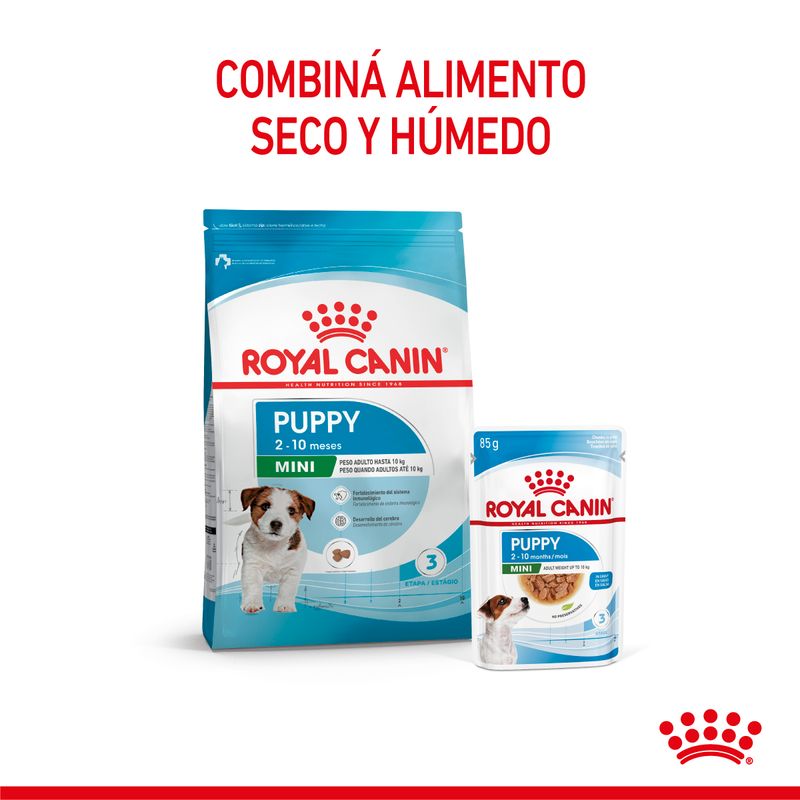 Royal Canin Perro Mini Junior X 7.5 Kg
