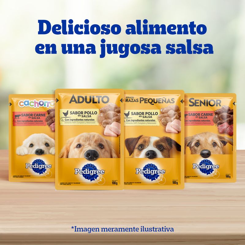 Pedigree alimento húmedo para perro raza pequeña pollo sobre 100 g