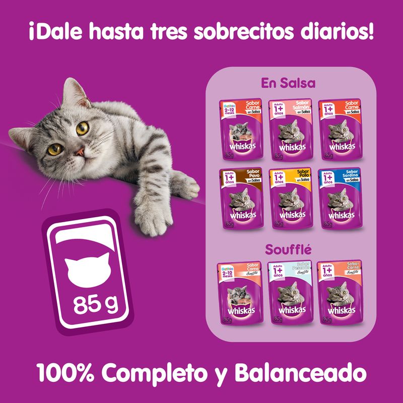 Whiskas® México