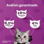 7797453972291_7Guarantee-analysis