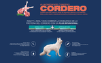 Agility--cordero-2