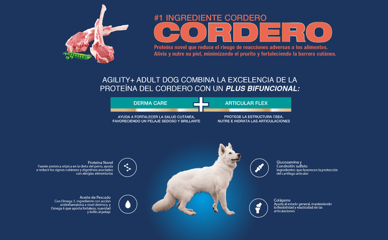 Agility--cordero-2