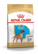 bhn-boxer-puppy-dry-nl-2024