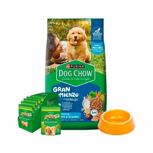 Dog Chow  Cachorro Mediano/ Grande  X 21 Kg