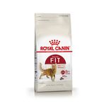 ROYAL-CANIN-GATO-FIT-32-X-15-KG