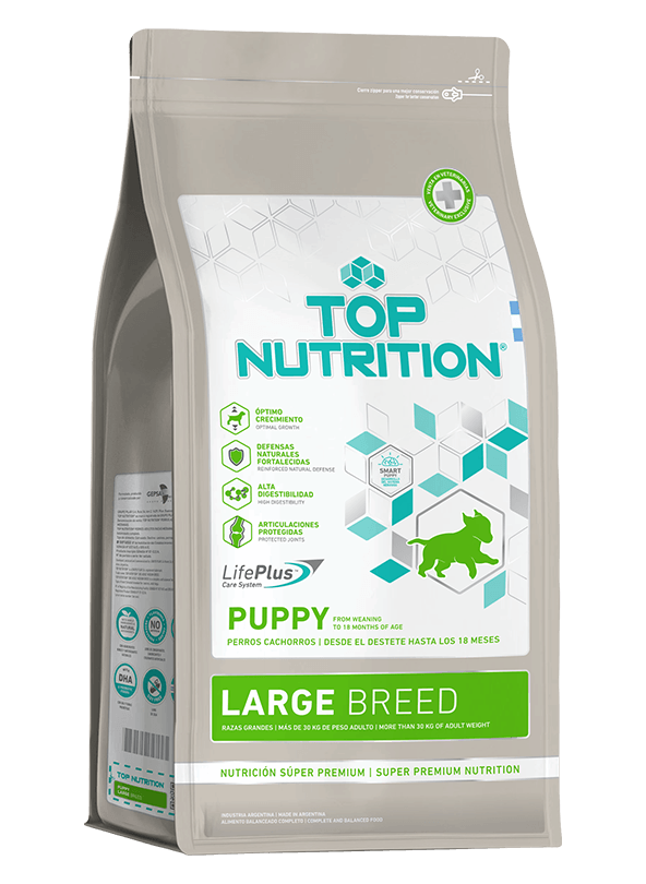 Large_puppy_tn-1