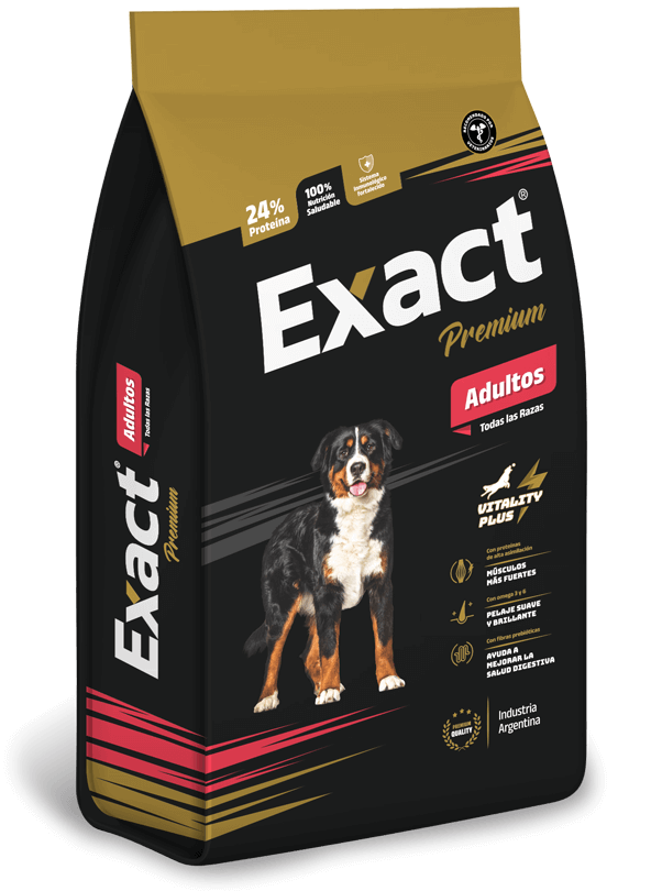 Exact_premiumAdulto_mockup