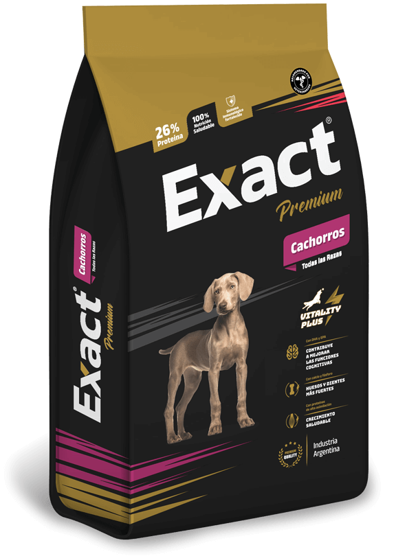 Exact_premiumCachorro_mockup