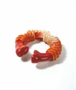 M_PETS_10650599_CARNIVOR_Dog_Toy_RIng_Bone_L_Product_VER_CMYK_2-scaled
