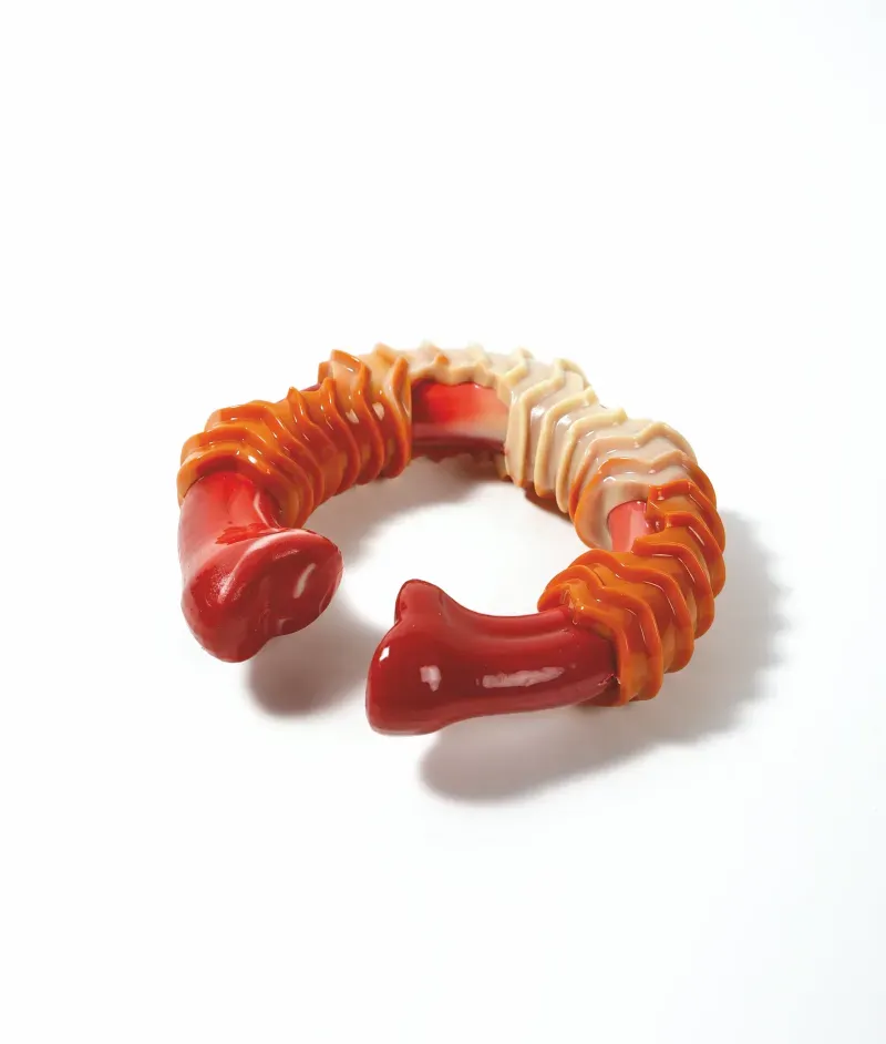 M_PETS_10650599_CARNIVOR_Dog_Toy_RIng_Bone_L_Product_VER_CMYK_2-scaled
