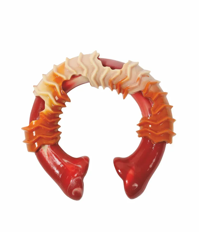 M_PETS_10650599_CARNIVOR_Dog_Toy_RIng_Bone_L_Product_VER_CMYK-scaled