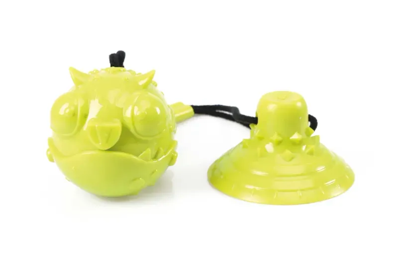 M-PETS_10641199_JUMP-Coloss-scaled