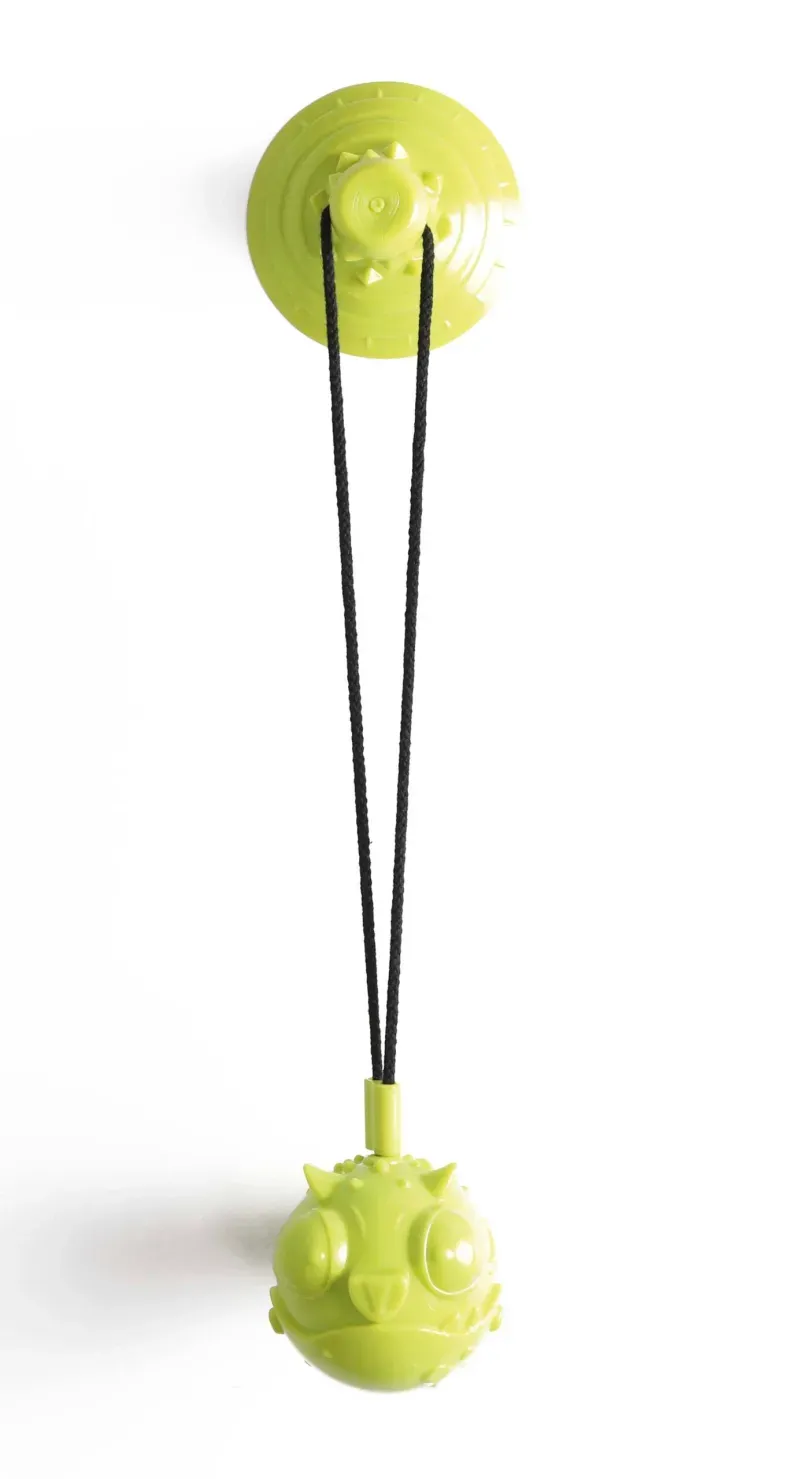 M-PETS_10641299-JUMP-Dog-Toy_COLOSS-5-scaled