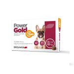 Power-Gold-1-mes