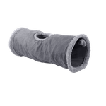 23256