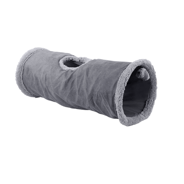 23256